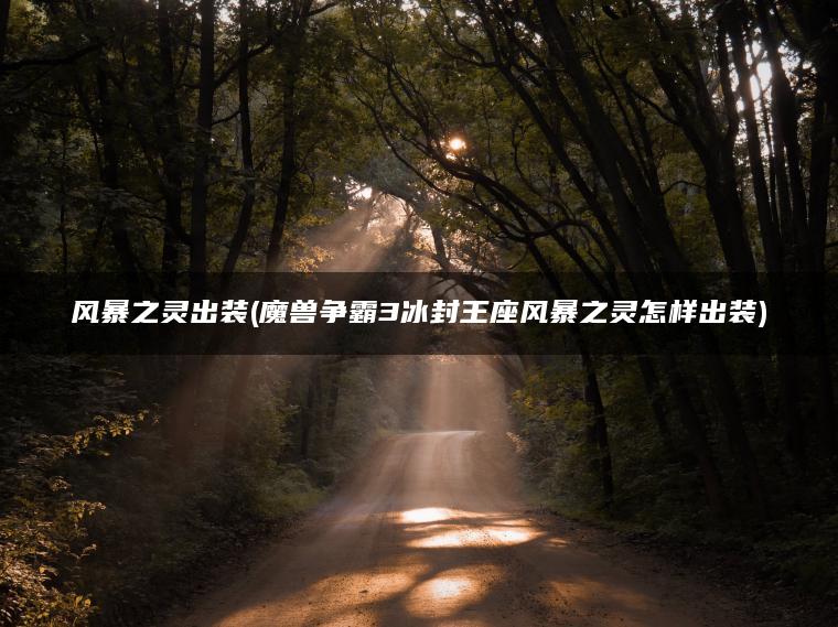 风暴之灵出装(魔兽争霸3冰封王座风暴之灵怎样出装)