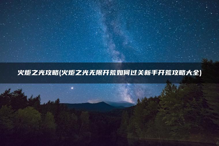 火炬之光攻略(火炬之光无限开荒如何过关新手开荒攻略大全)