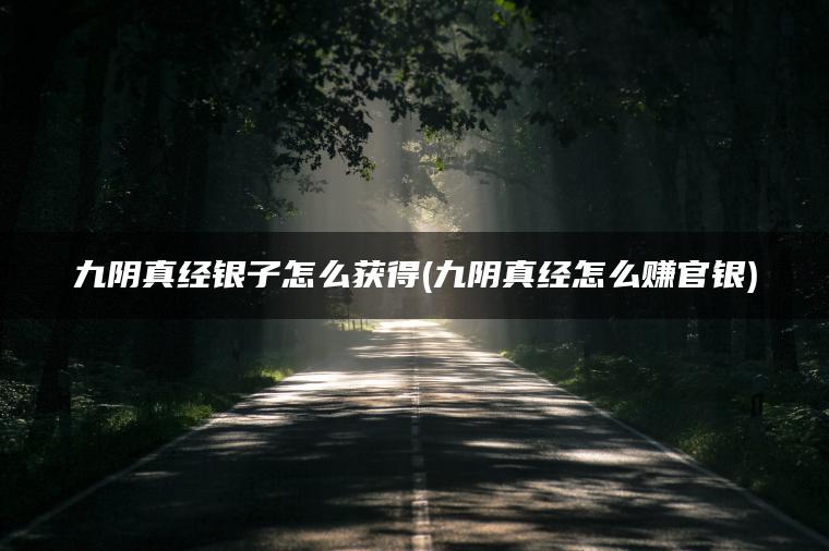 九阴真经银子怎么获得(九阴真经怎么赚官银)