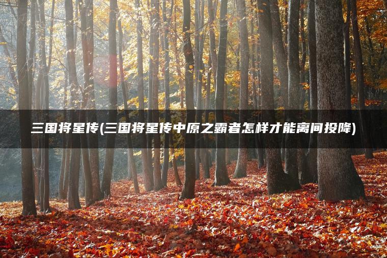 三国将星传(三国将星传中原之霸者怎样才能离间投降)