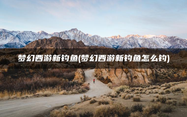 梦幻西游新钓鱼(梦幻西游新钓鱼怎么钓)
