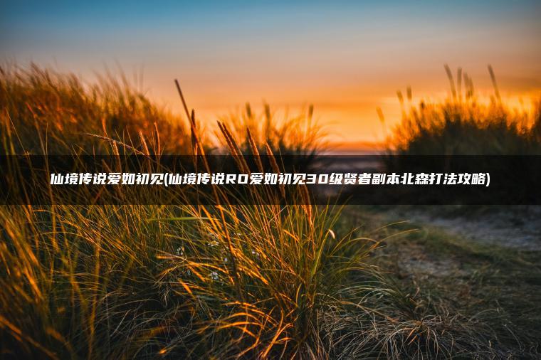 仙境传说爱如初见(仙境传说RO爱如初见30级贤者副本北森打法攻略)