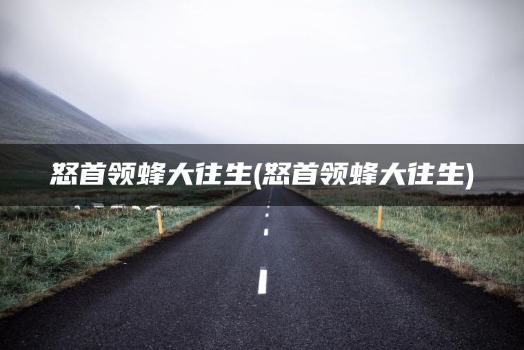 怒首领蜂大往生(怒首领蜂大往生)
