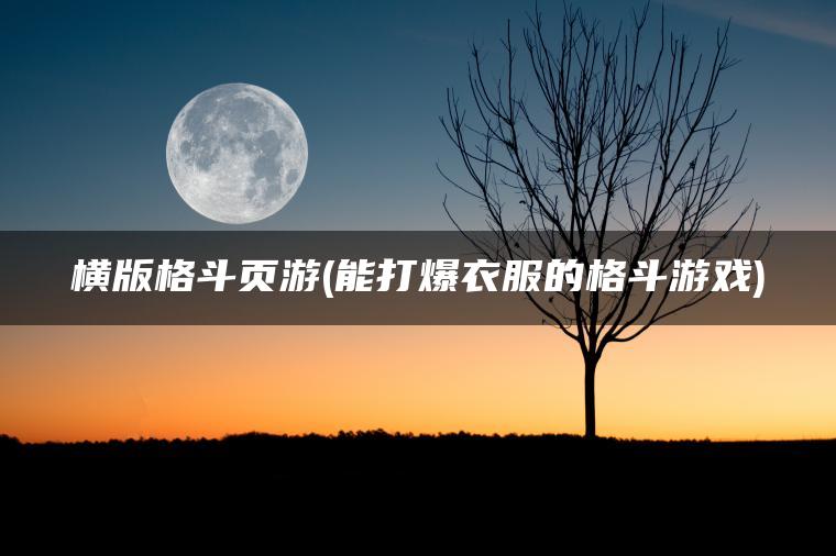 横版格斗页游(能打爆衣服的格斗游戏)