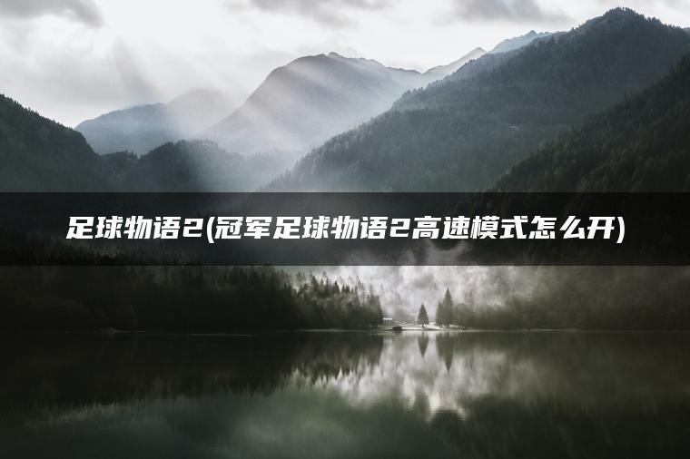 足球物语2(冠军足球物语2高速模式怎么开)