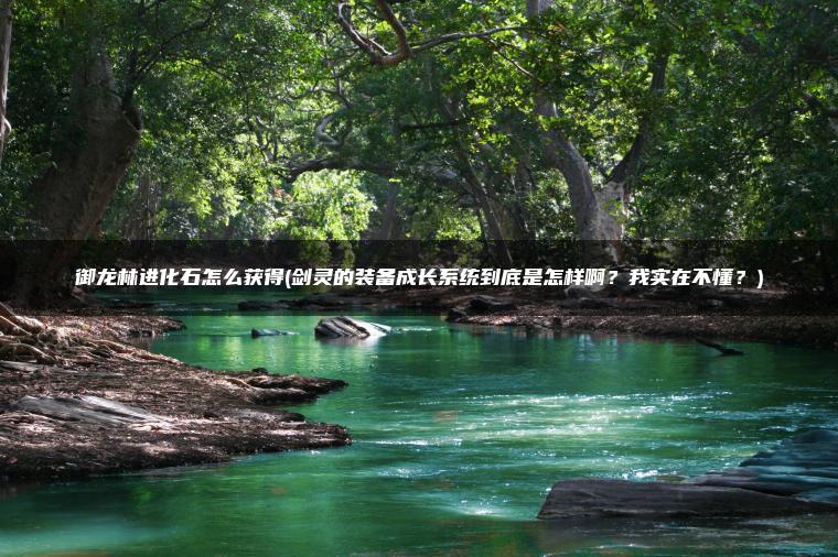 御龙林进化石怎么获得(剑灵的装备成长系统到底是怎样啊？我实在不懂？)