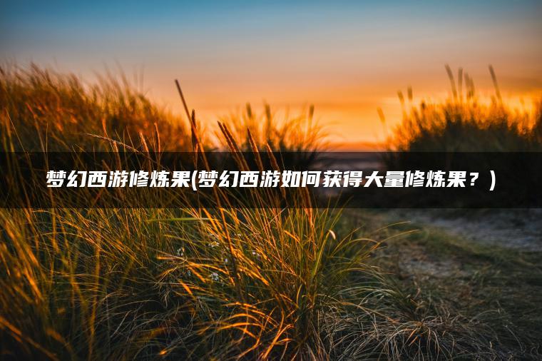 梦幻西游修炼果(梦幻西游如何获得大量修炼果？)