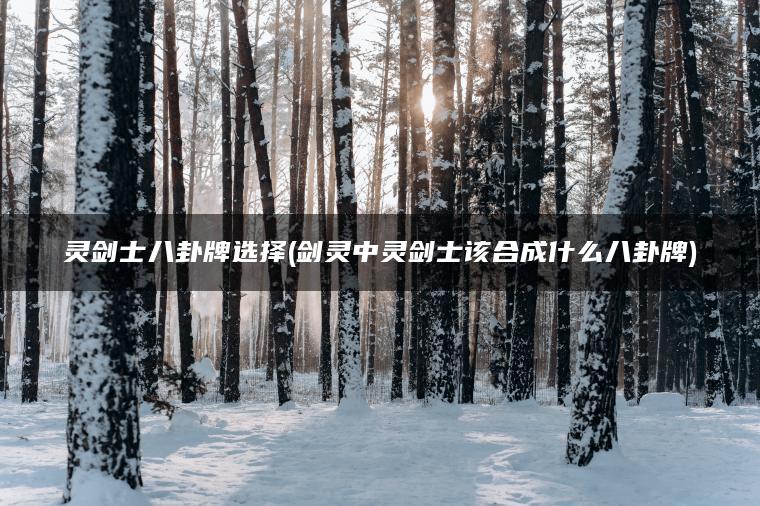 灵剑士八卦牌选择(剑灵中灵剑士该合成什么八卦牌)