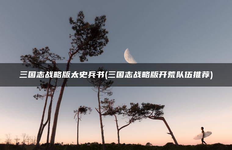 三国志战略版太史兵书(三国志战略版开荒队伍推荐)