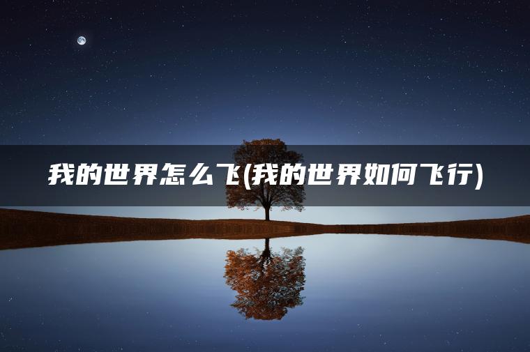 我的世界怎么飞(我的世界如何飞行)
