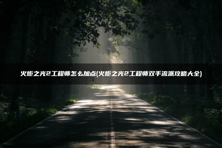 火炬之光2工程师怎么加点(火炬之光2工程师双手流派攻略大全)