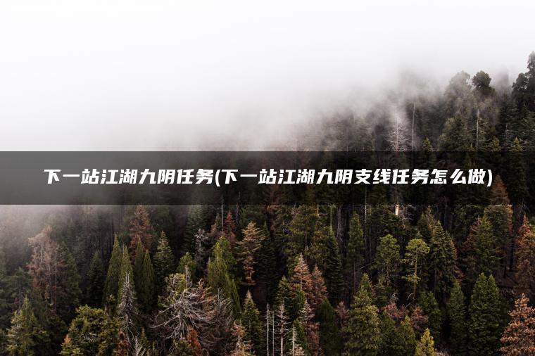 下一站江湖九阴任务(下一站江湖九阴支线任务怎么做)