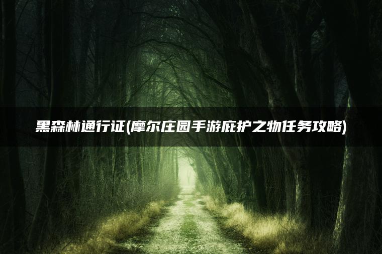黑森林通行证(摩尔庄园手游庇护之物任务攻略)