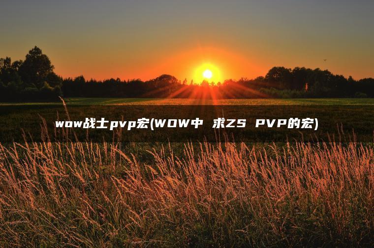 wow战士pvp宏(WOW中 求ZS PVP的宏)