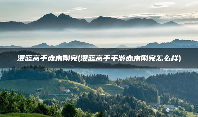 灌篮高手赤木刚宪(灌篮高手手游赤木刚宪怎么样)