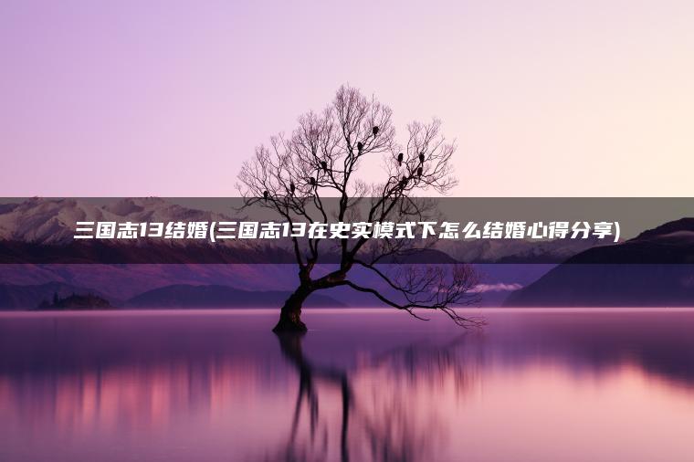 三国志13结婚(三国志13在史实模式下怎么结婚心得分享)