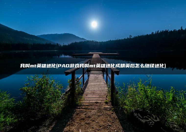 我叫mt英雄进化(PAD游戏我叫mt英雄进化成精英后怎么继续进化)