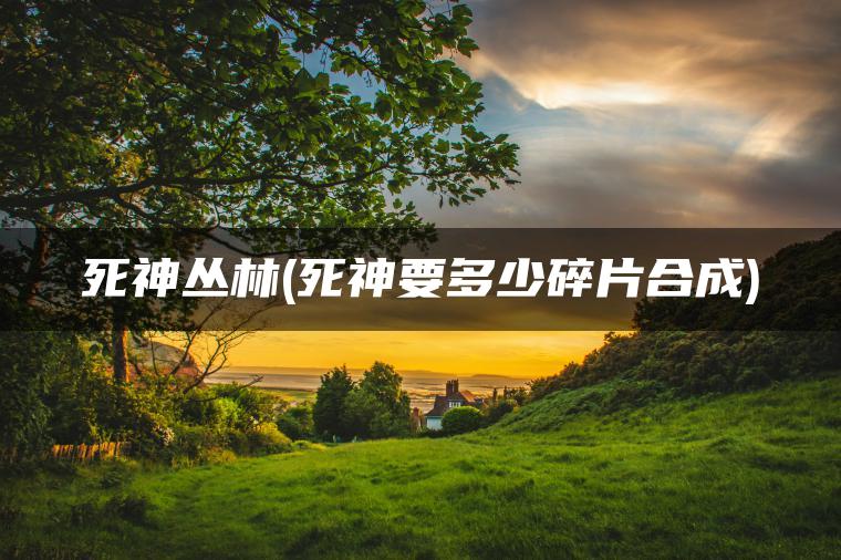 死神丛林(死神要多少碎片合成)