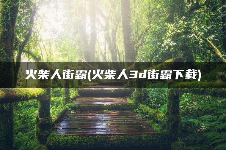 火柴人街霸(火柴人3d街霸下载)