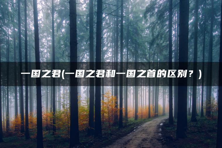 一国之君(一国之君和一国之首的区别？)
