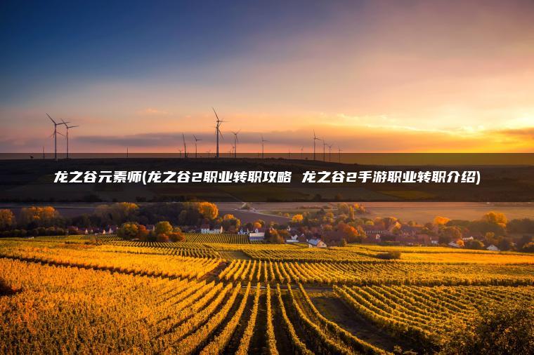 龙之谷元素师(龙之谷2职业转职攻略 龙之谷2手游职业转职介绍)