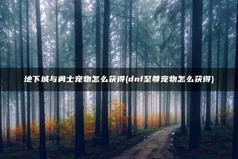 地下城与勇士宠物怎么获得(dnf至尊宠物怎么获得)