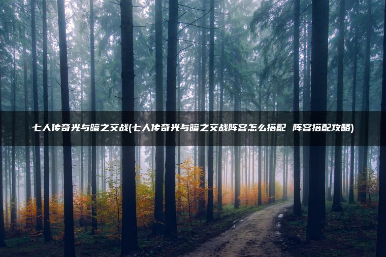 七人传奇光与暗之交战(七人传奇光与暗之交战阵容怎么搭配 阵容搭配攻略)