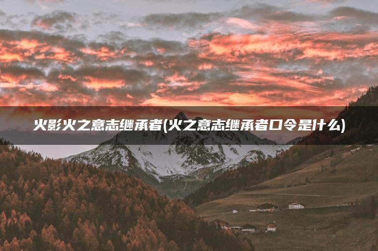 火影火之意志继承者(火之意志继承者口令是什么)
