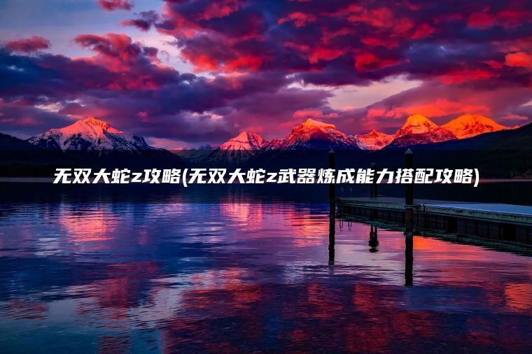 无双大蛇z攻略(无双大蛇z武器炼成能力搭配攻略)