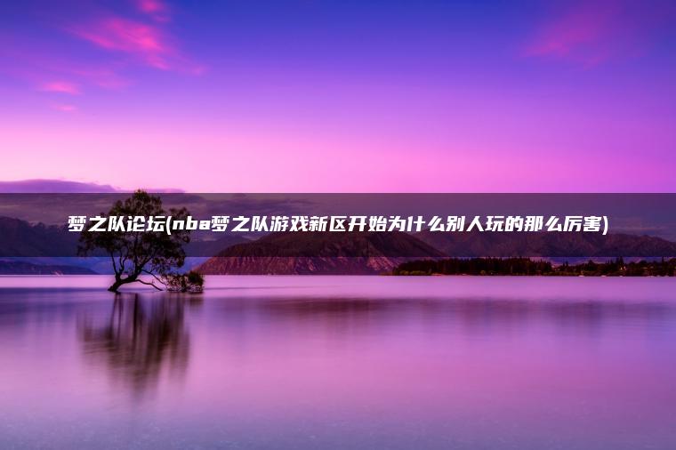梦之队论坛(nba梦之队游戏新区开始为什么别人玩的那么厉害)