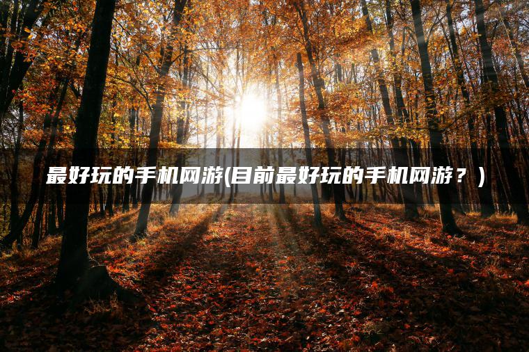 最好玩的手机网游(目前最好玩的手机网游？)