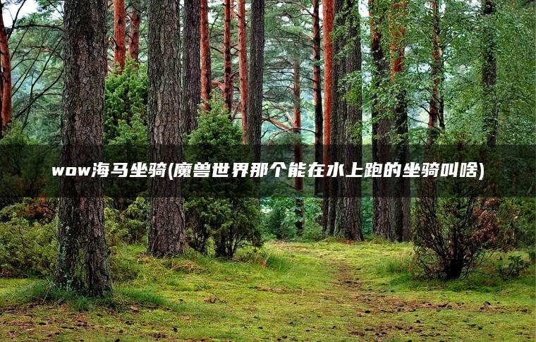 wow海马坐骑(魔兽世界那个能在水上跑的坐骑叫啥)