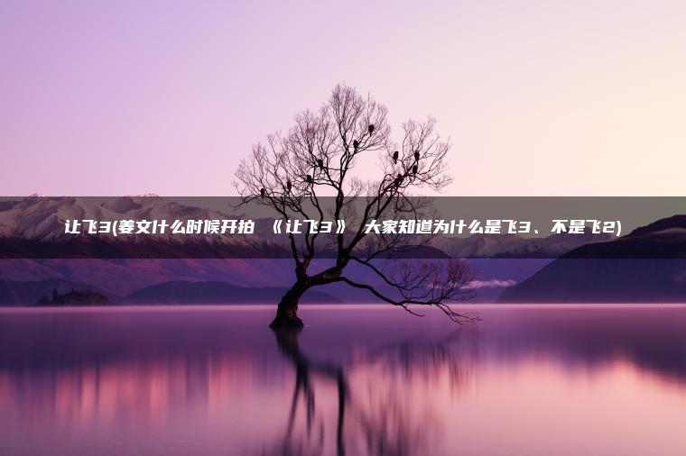 让飞3(姜文什么时候开拍 《让飞3》 大家知道为什么是飞3、不是飞2)