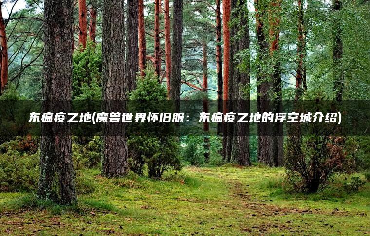 东瘟疫之地(魔兽世界怀旧服：东瘟疫之地的浮空城介绍)