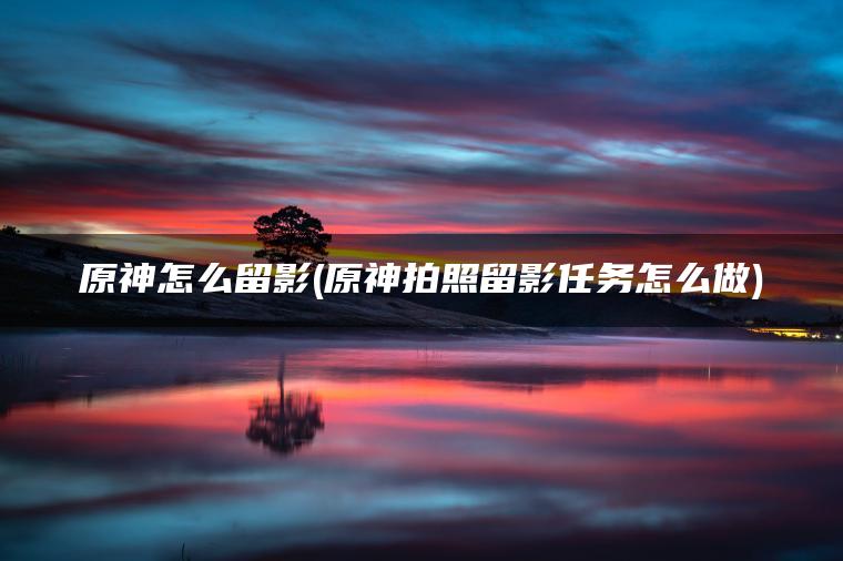 原神怎么留影(原神拍照留影任务怎么做)