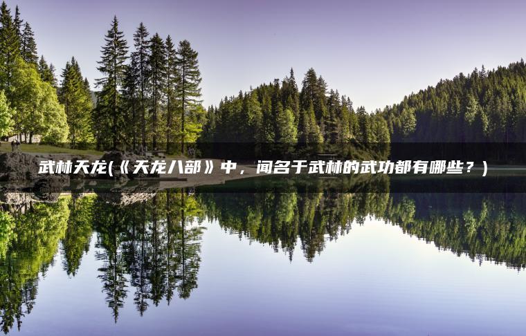武林天龙(《天龙八部》中，闻名于武林的武功都有哪些？)