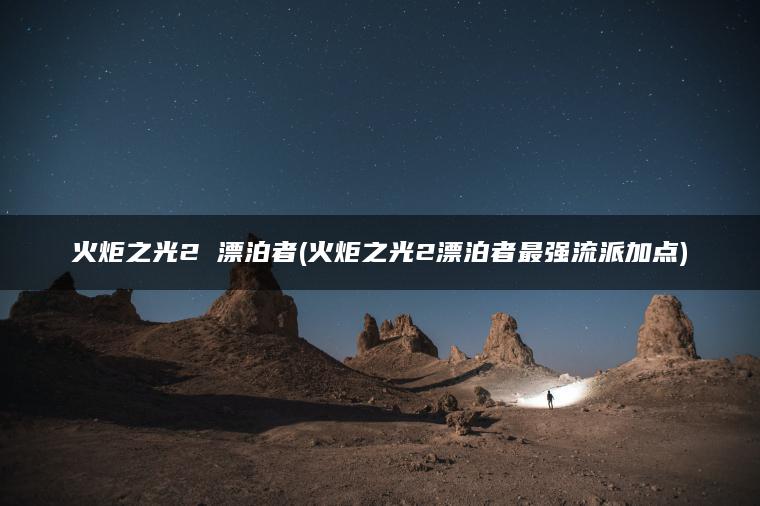 火炬之光2 漂泊者(火炬之光2漂泊者最强流派加点)