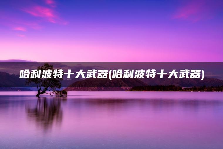 哈利波特十大武器(哈利波特十大武器)