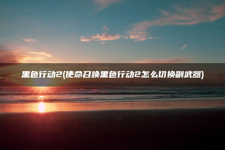 黑色行动2(使命召唤黑色行动2怎么切换副武器)