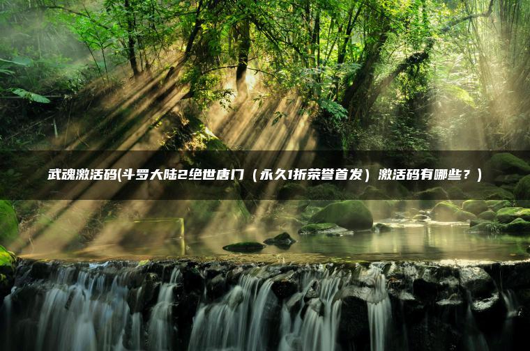 武魂激活码(斗罗大陆2绝世唐门（永久1折荣誉首发）激活码有哪些？)