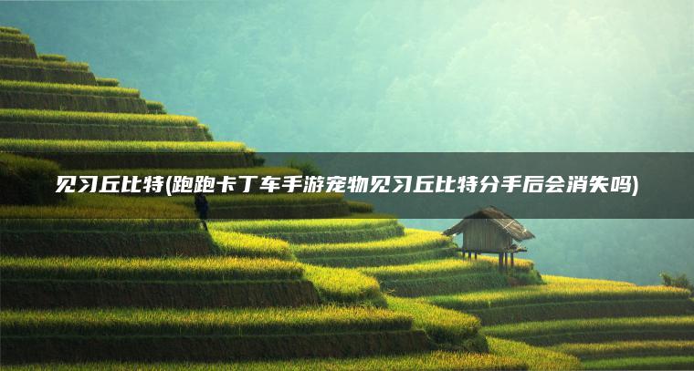 见习丘比特(跑跑卡丁车手游宠物见习丘比特分手后会消失吗)