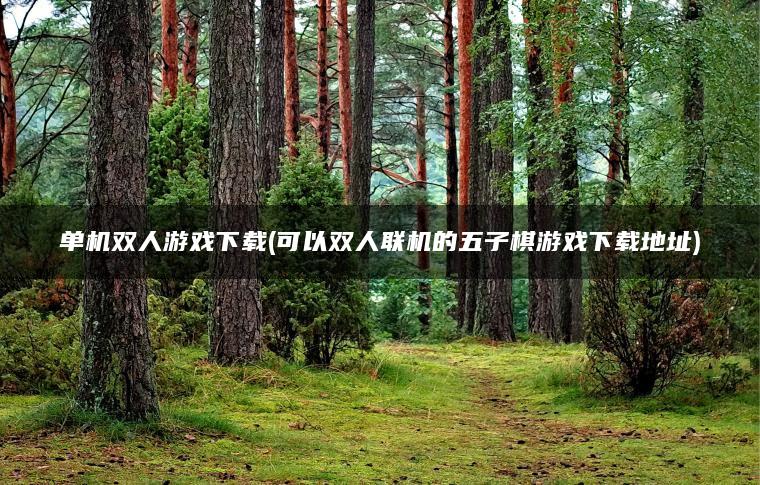 单机双人游戏下载(可以双人联机的五子棋游戏下载地址)