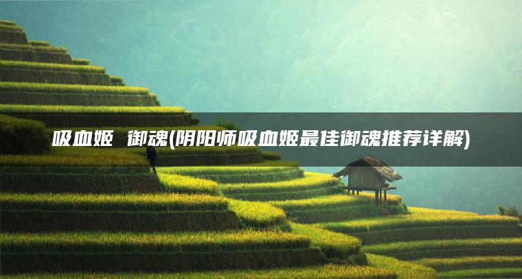 吸血姬 御魂(阴阳师吸血姬最佳御魂推荐详解)