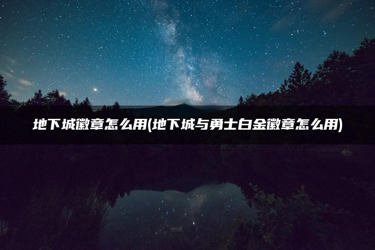 地下城徽章怎么用(地下城与勇士白金徽章怎么用)