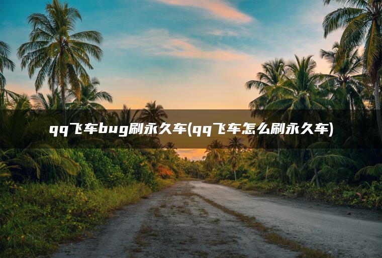 qq飞车bug刷永久车(qq飞车怎么刷永久车)