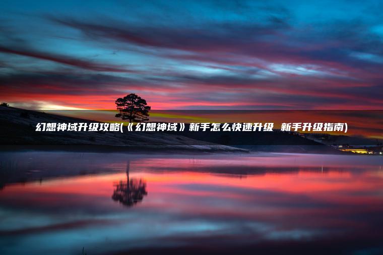 幻想神域升级攻略(《幻想神域》新手怎么快速升级 新手升级指南)