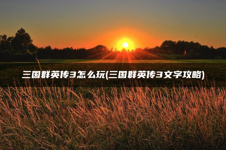 三国群英传3怎么玩(三国群英传3文字攻略)