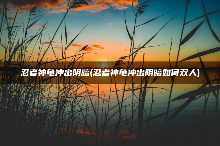 忍者神龟冲出阴暗(忍者神龟冲出阴暗如何双人)