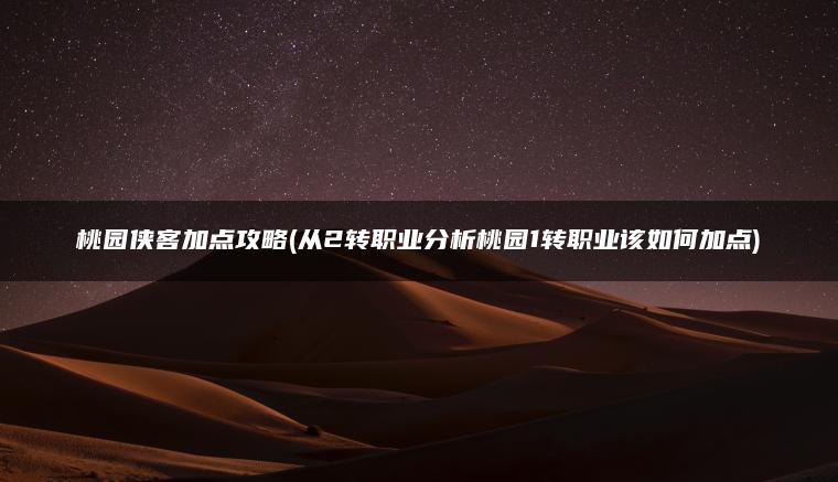 桃园侠客加点攻略(从2转职业分析桃园1转职业该如何加点)