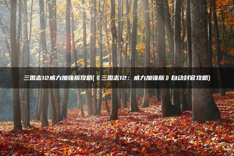 三国志12威力加强版攻略(《三国志12：威力加强版》自动封官攻略)